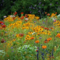 Taiwan's Diplomatic Push: EU Visits, China Threats, US Course